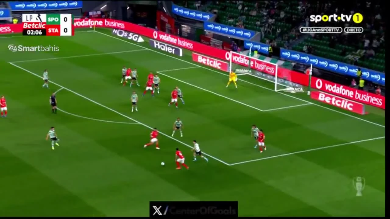 zaslepka skrotu video