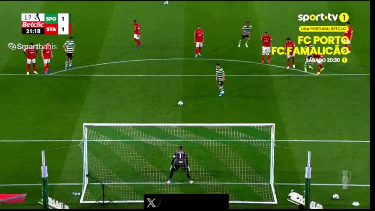 zaslepka skrotu video