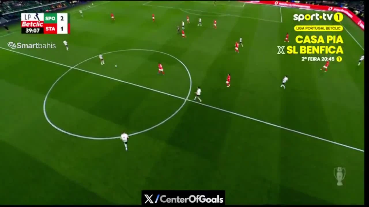 zaslepka skrotu video