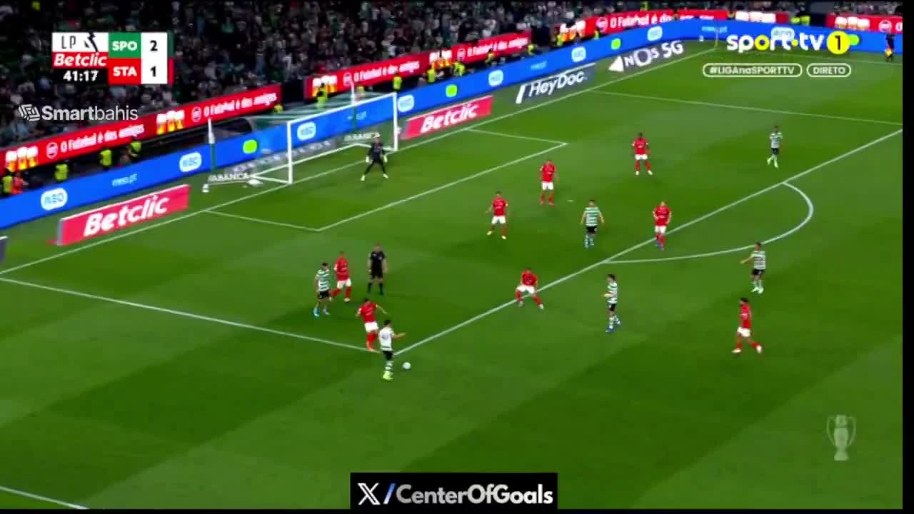 zaslepka skrotu video