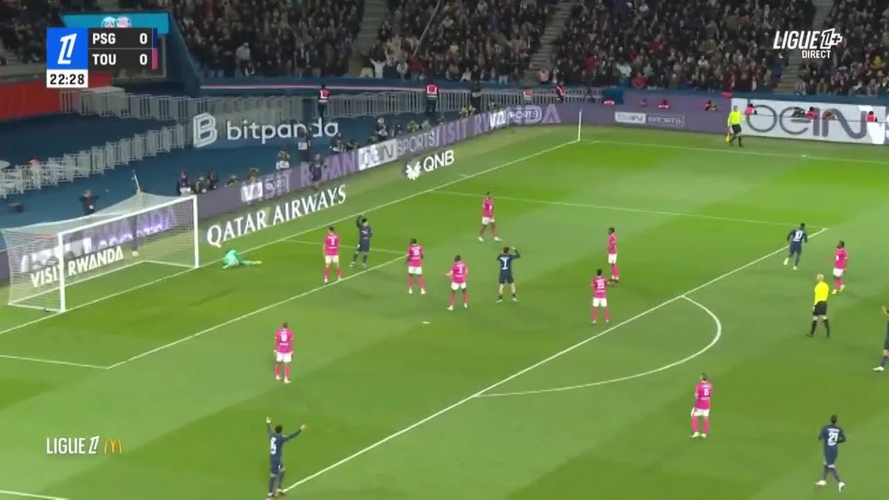 zaslepka skrotu video