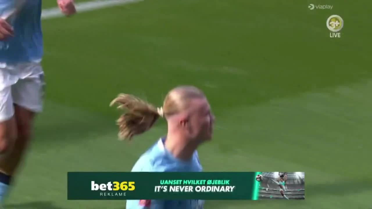 zaslepka skrotu video