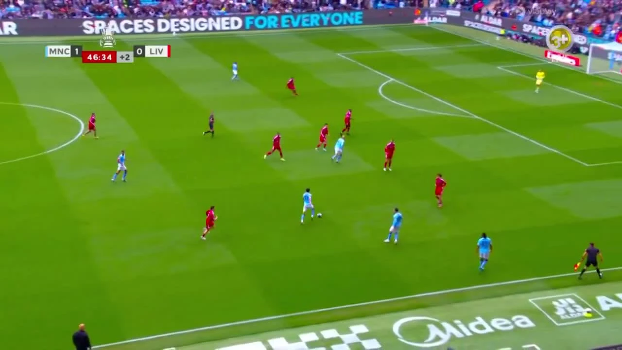 zaslepka skrotu video