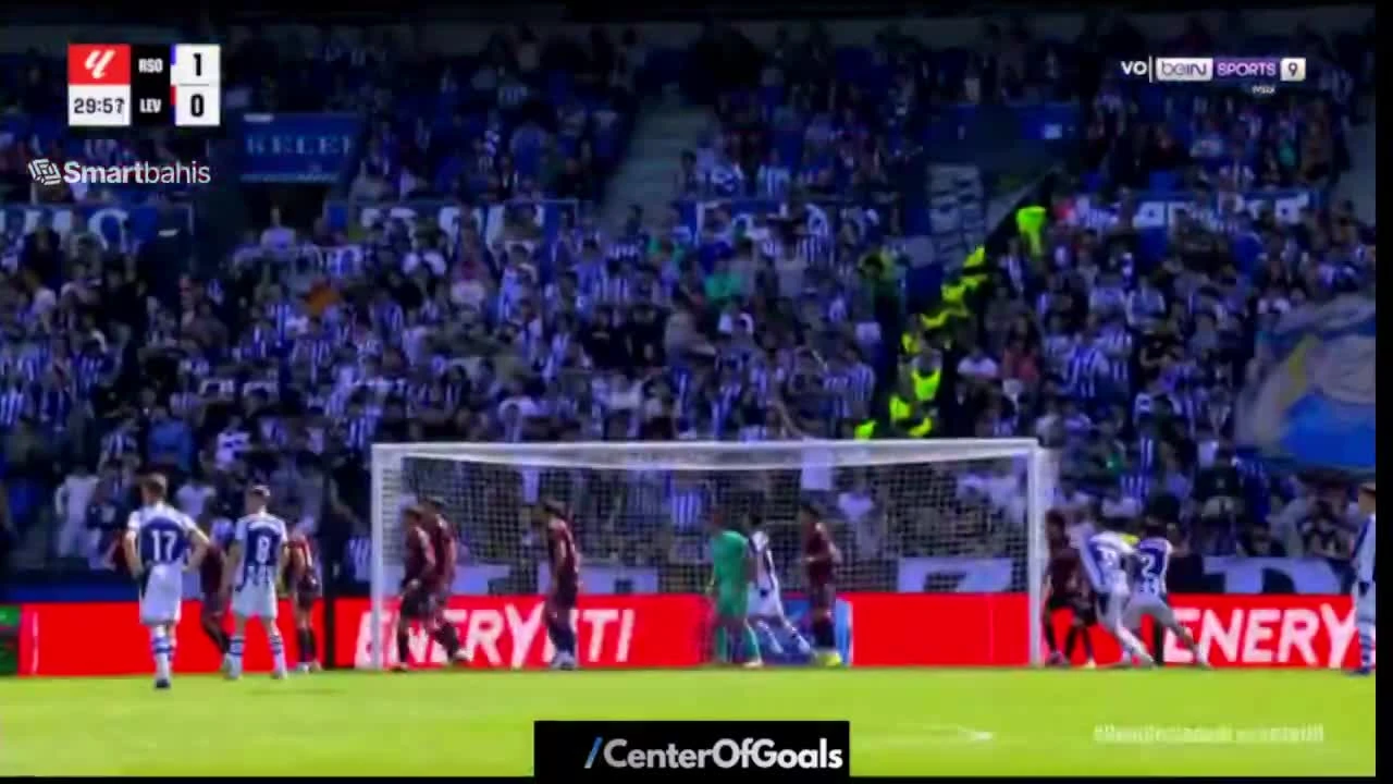 zaslepka skrotu video