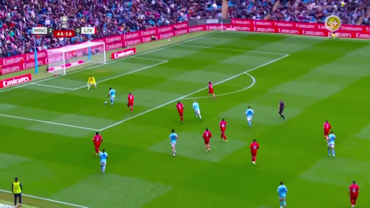 zaslepka skrotu video