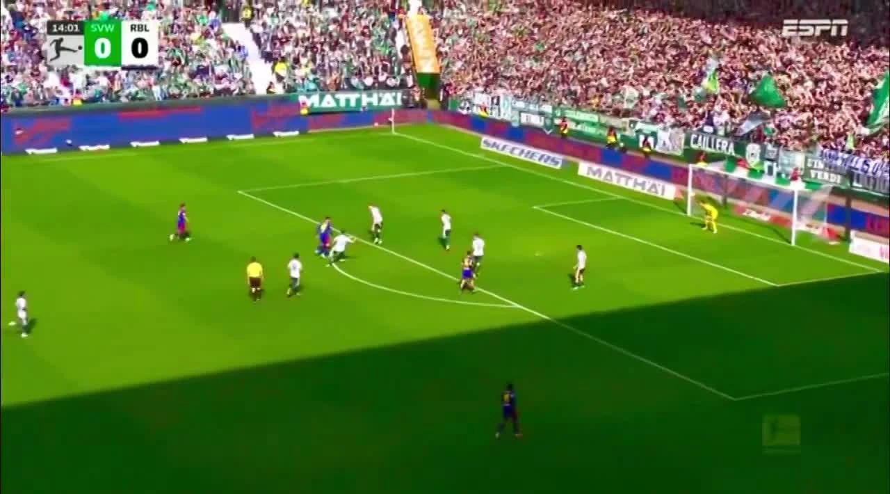 zaslepka skrotu video