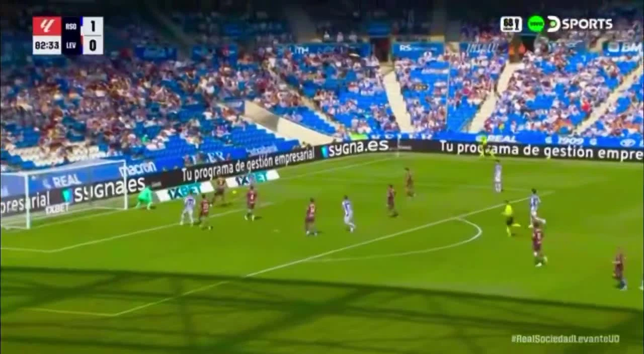 zaslepka skrotu video