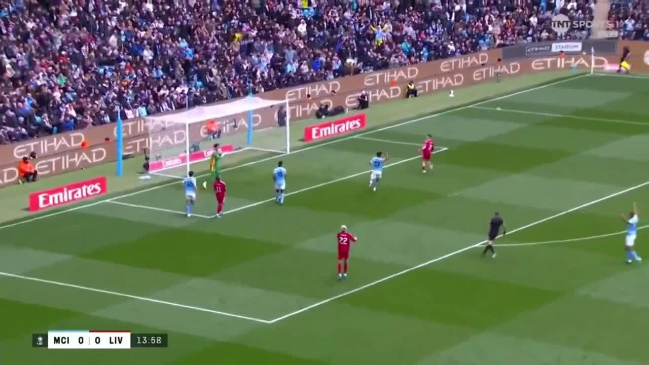 zaslepka skrotu video