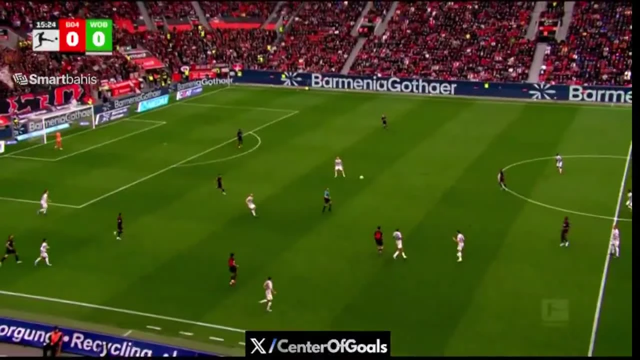 zaslepka skrotu video