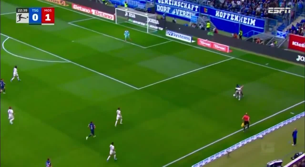 zaslepka skrotu video