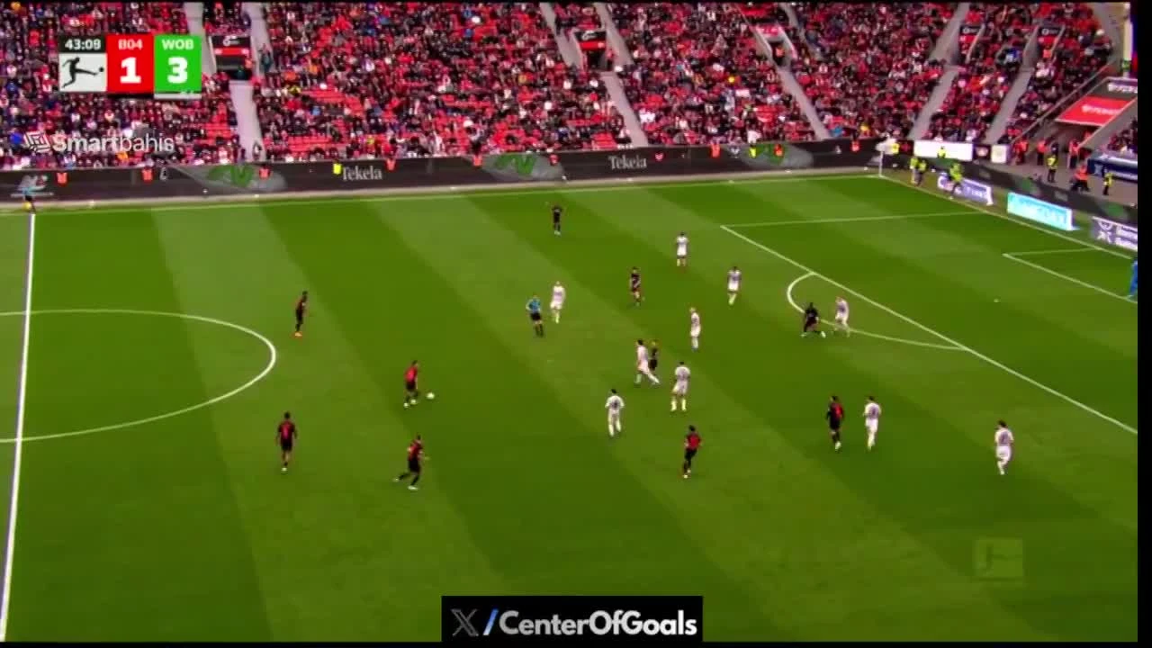 zaslepka skrotu video