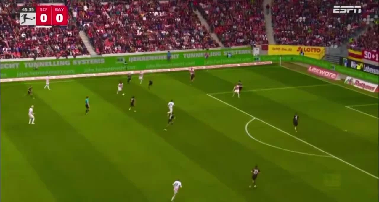 zaslepka skrotu video