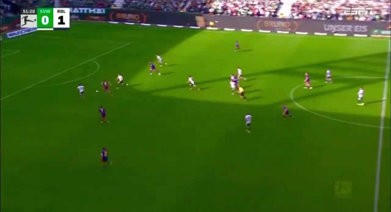 zaslepka skrotu video