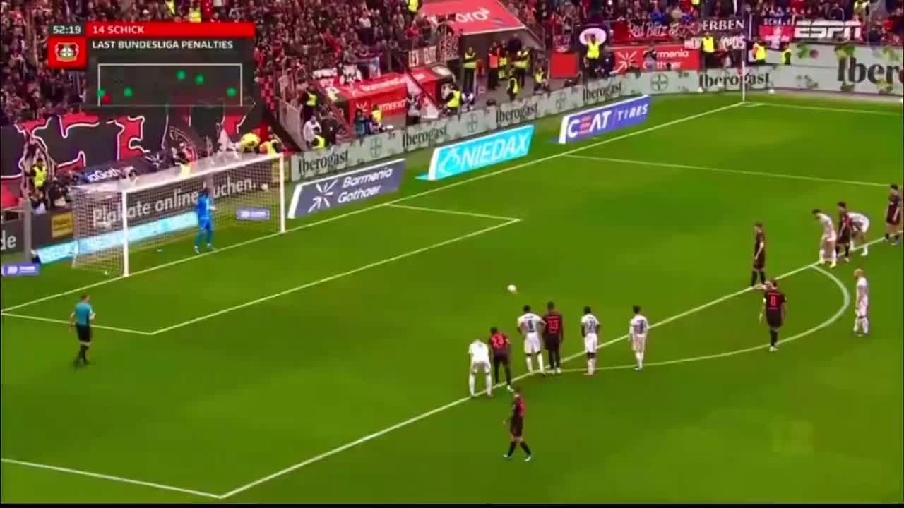 zaslepka skrotu video