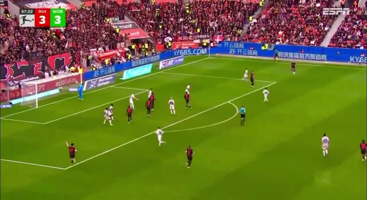 zaslepka skrotu video