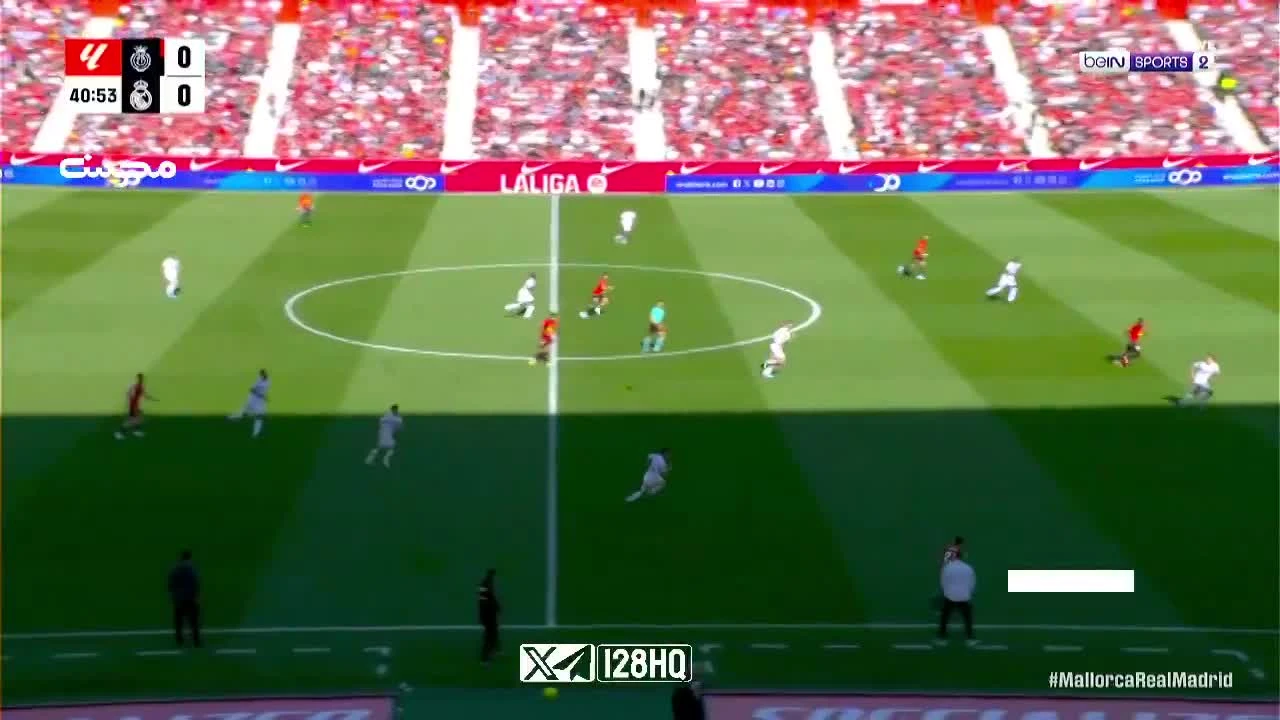 zaslepka skrotu video