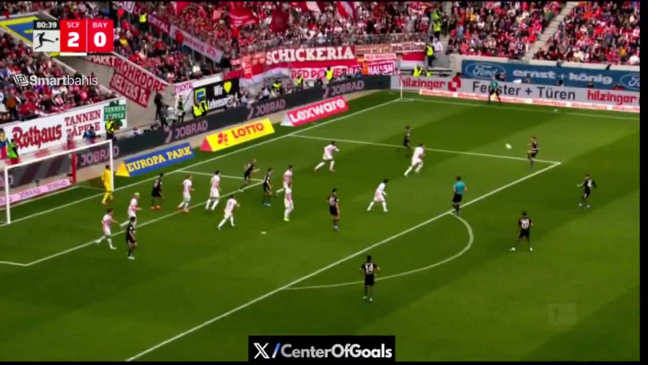 zaslepka skrotu video