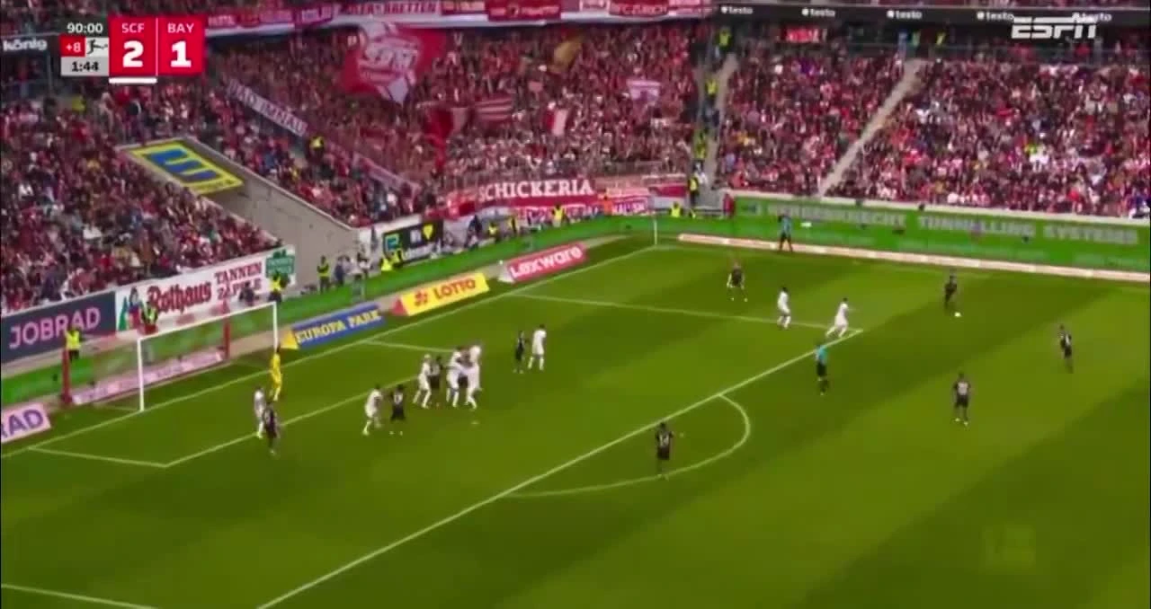 zaslepka skrotu video