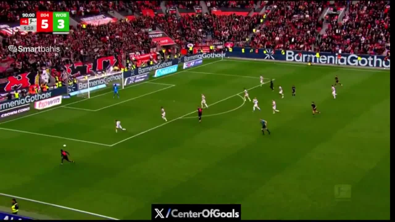 zaslepka skrotu video