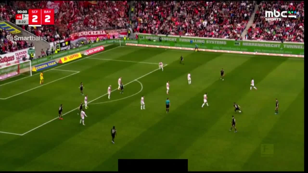 zaslepka skrotu video