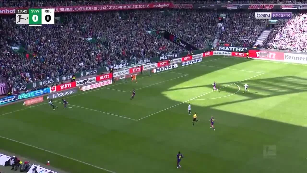 zaslepka skrotu video