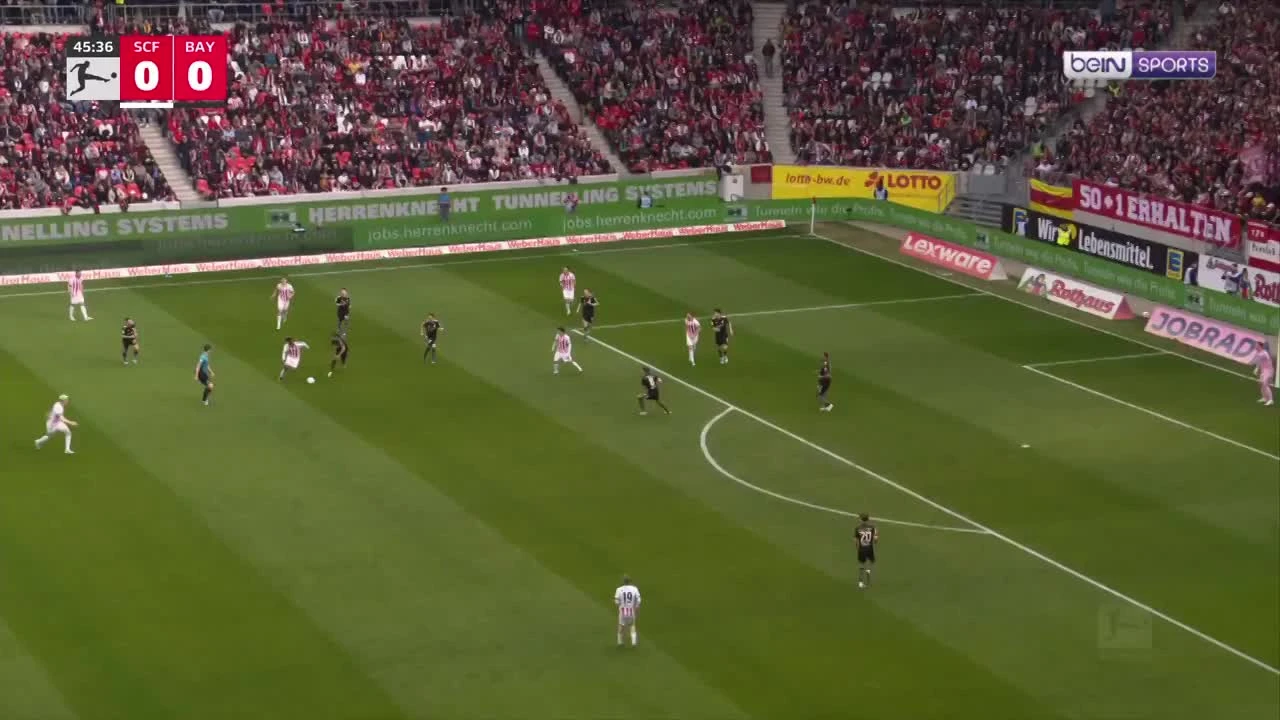 zaslepka skrotu video