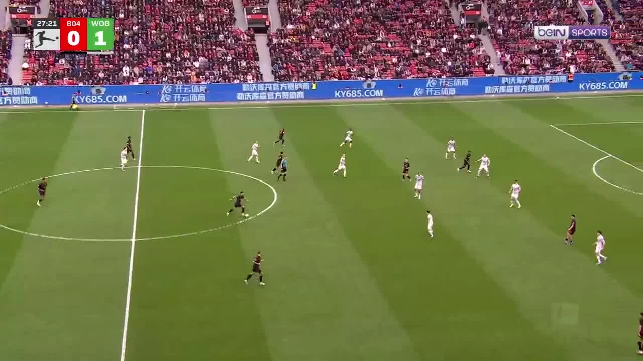 zaslepka skrotu video