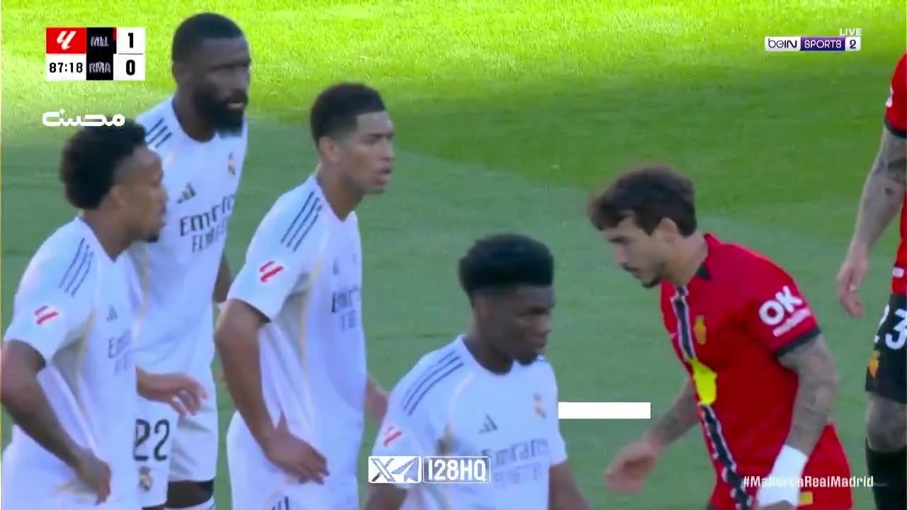 zaslepka skrotu video