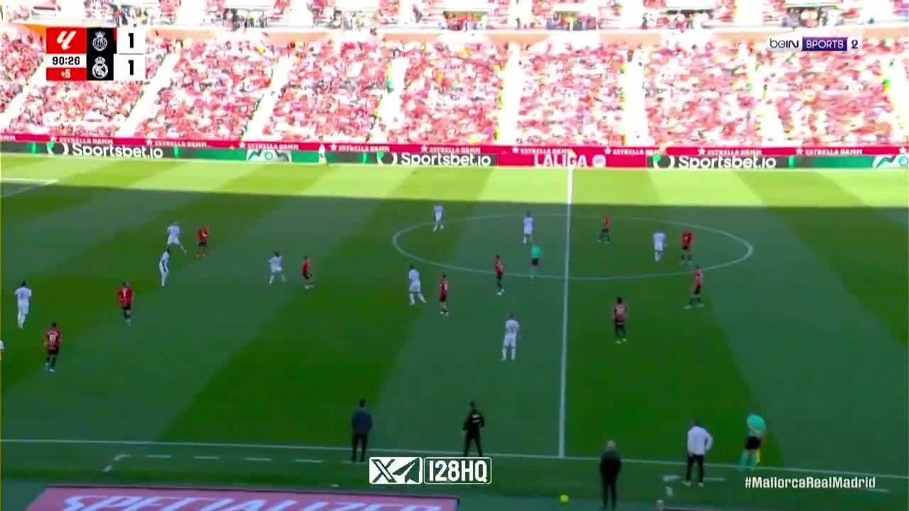 zaslepka skrotu video