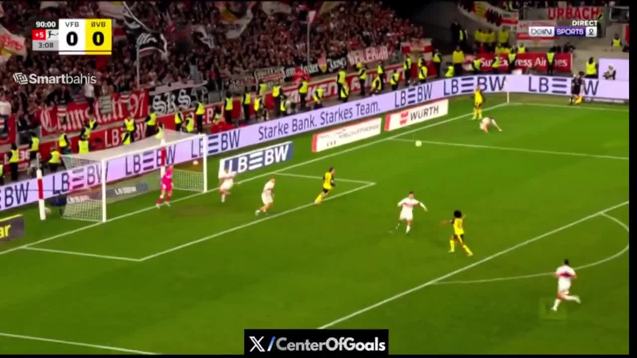 zaslepka skrotu video