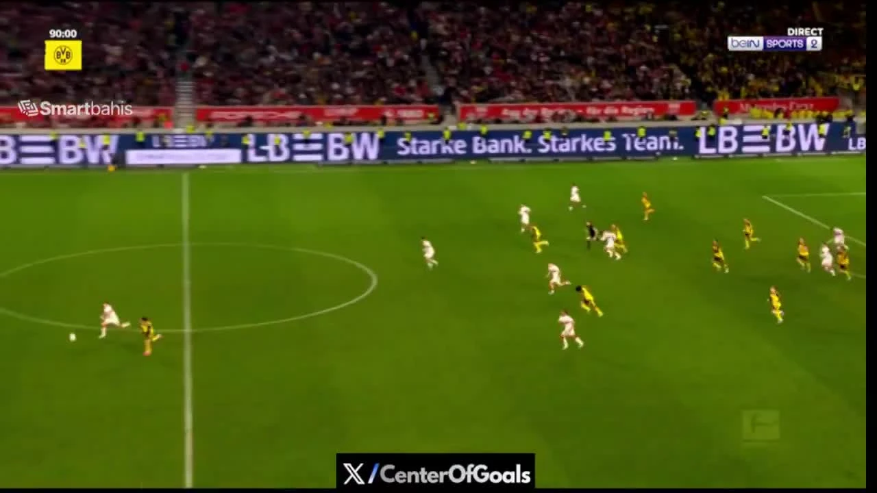 zaslepka skrotu video