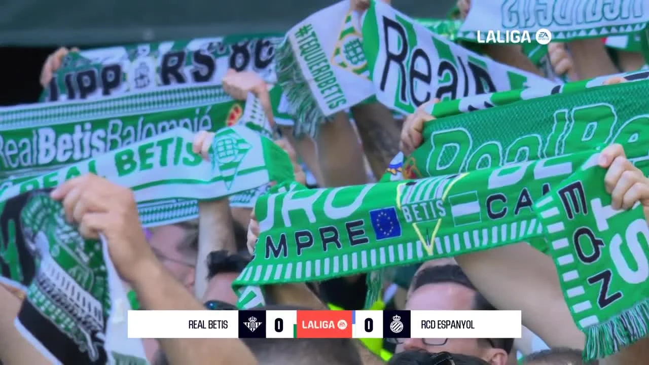 zaslepka skrotu video