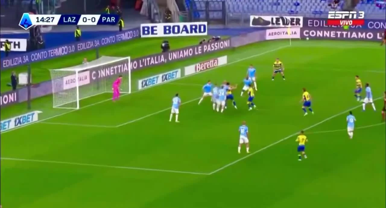 zaslepka skrotu video