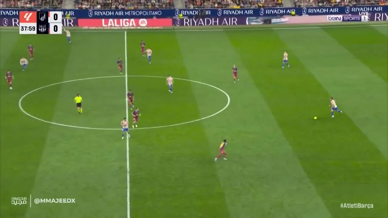 zaslepka skrotu video