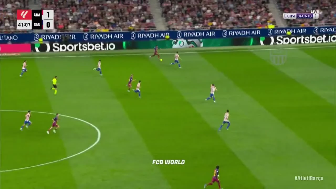 zaslepka skrotu video