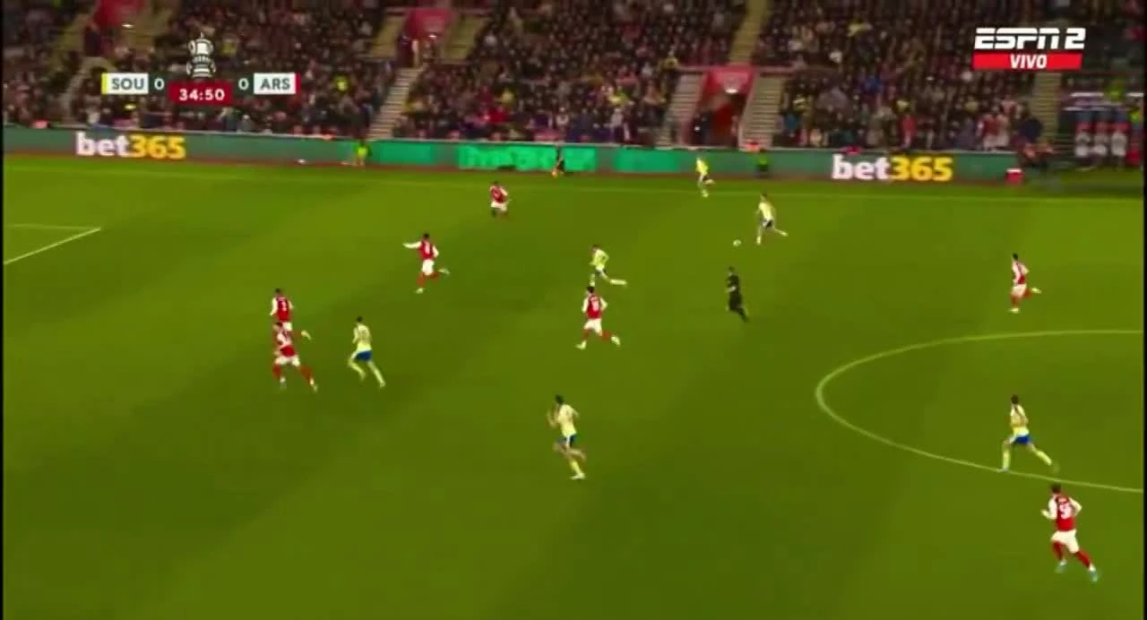 zaslepka skrotu video