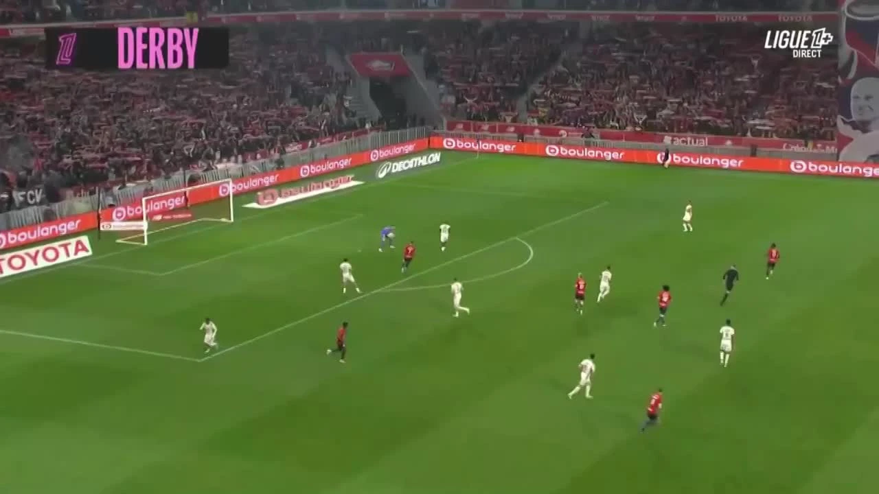 zaslepka skrotu video