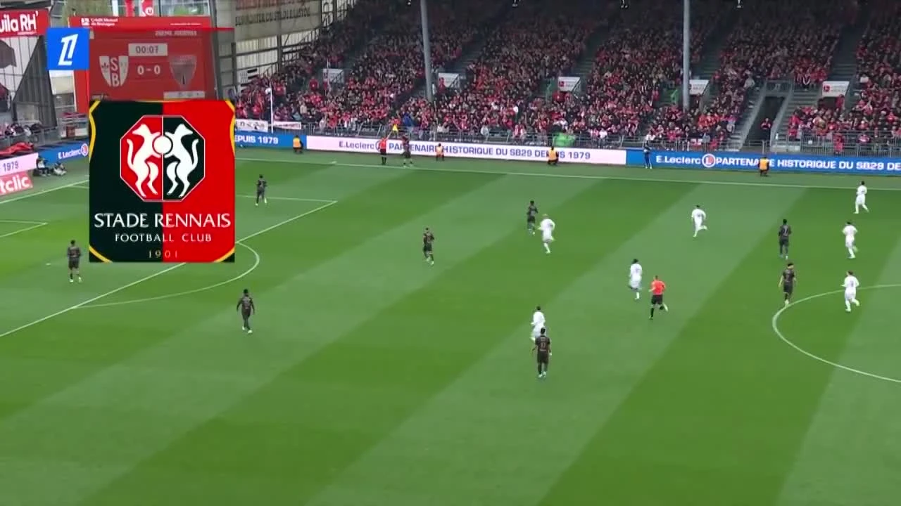 zaslepka skrotu video