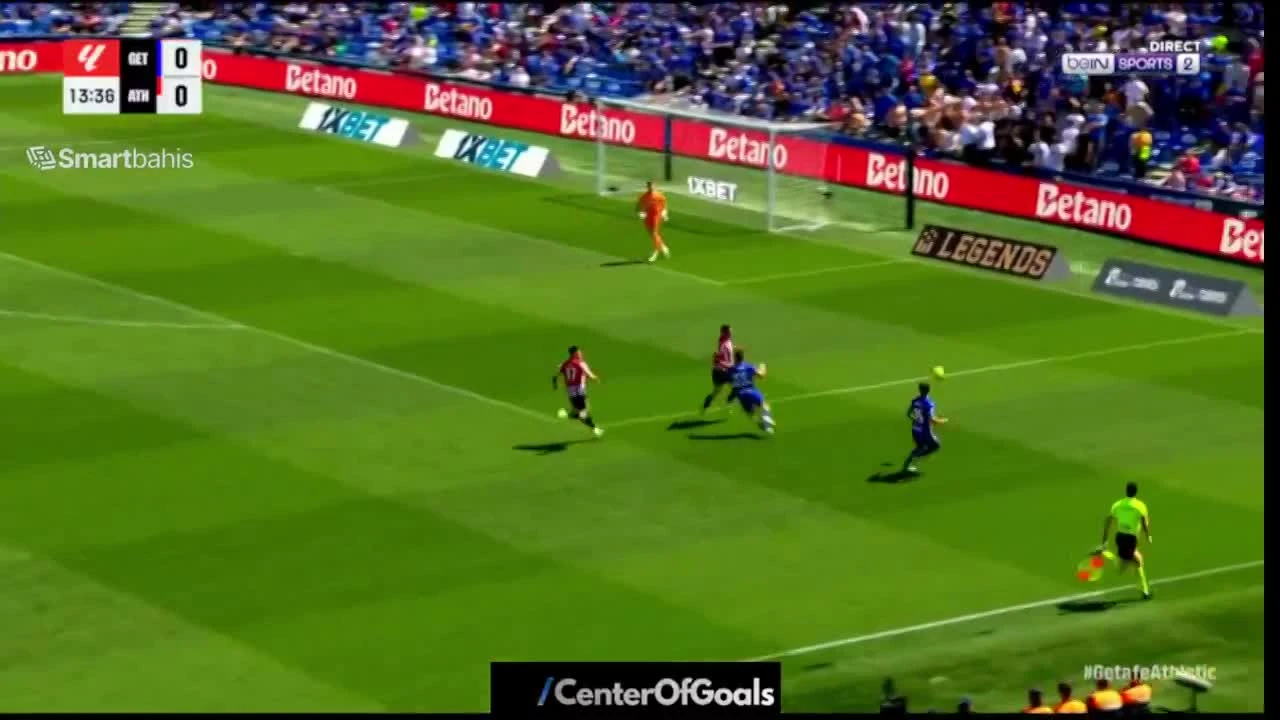 zaslepka skrotu video