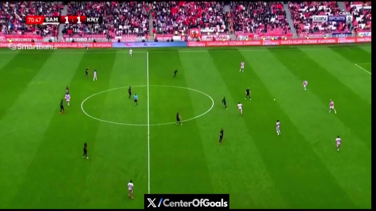 zaslepka skrotu video