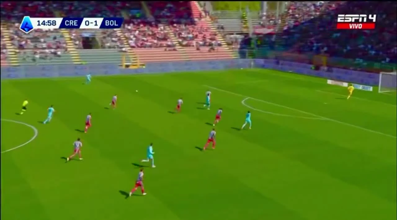 zaslepka skrotu video