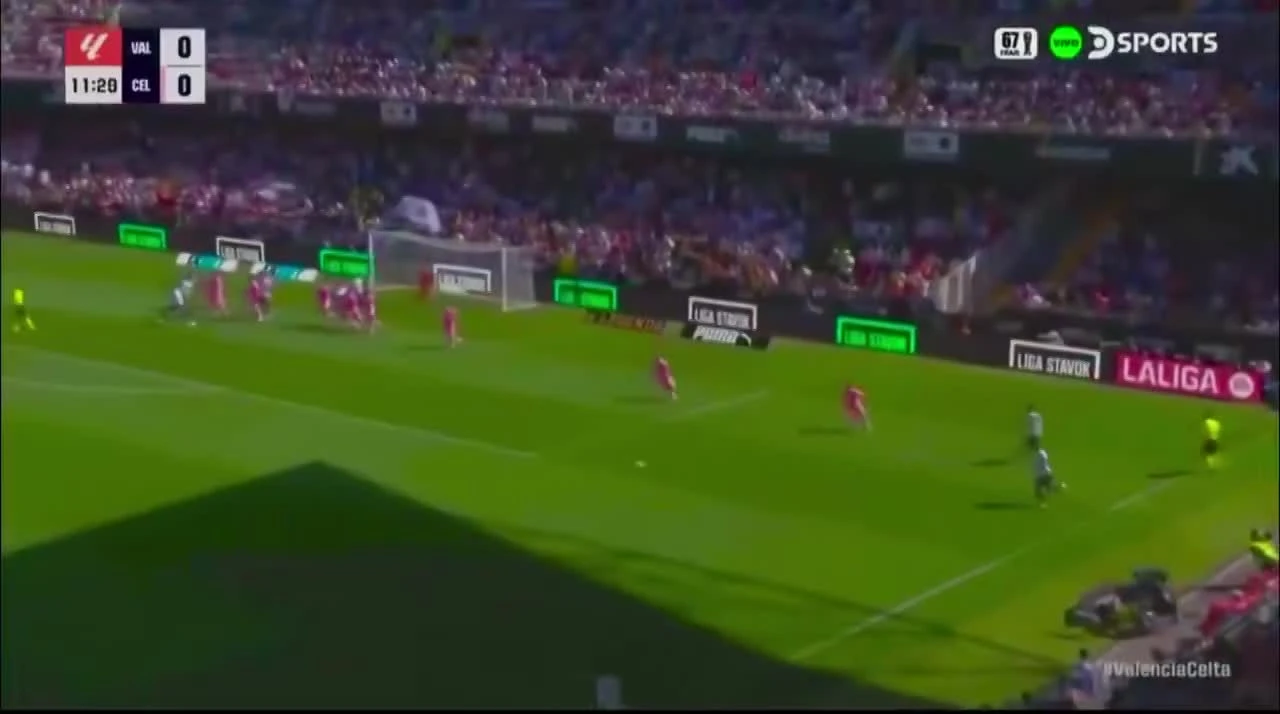 zaslepka skrotu video