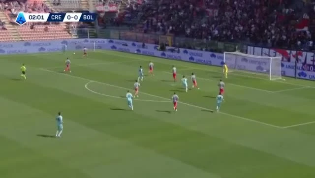 zaslepka skrotu video