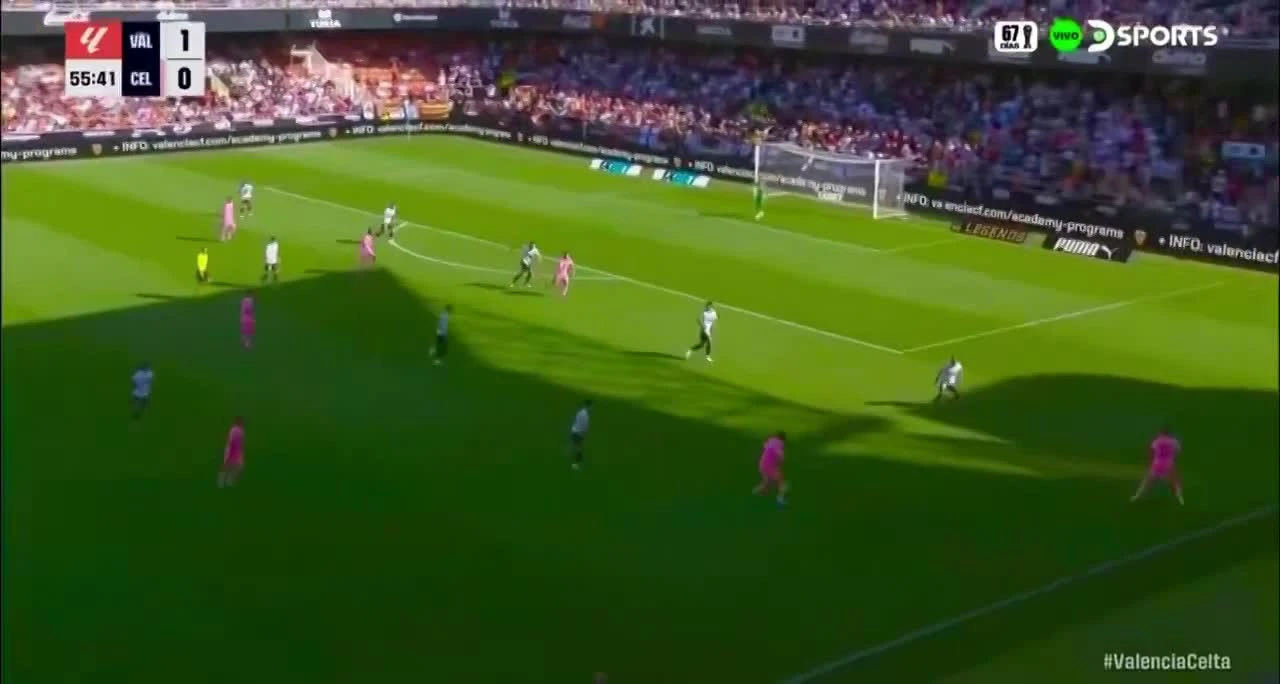 zaslepka skrotu video