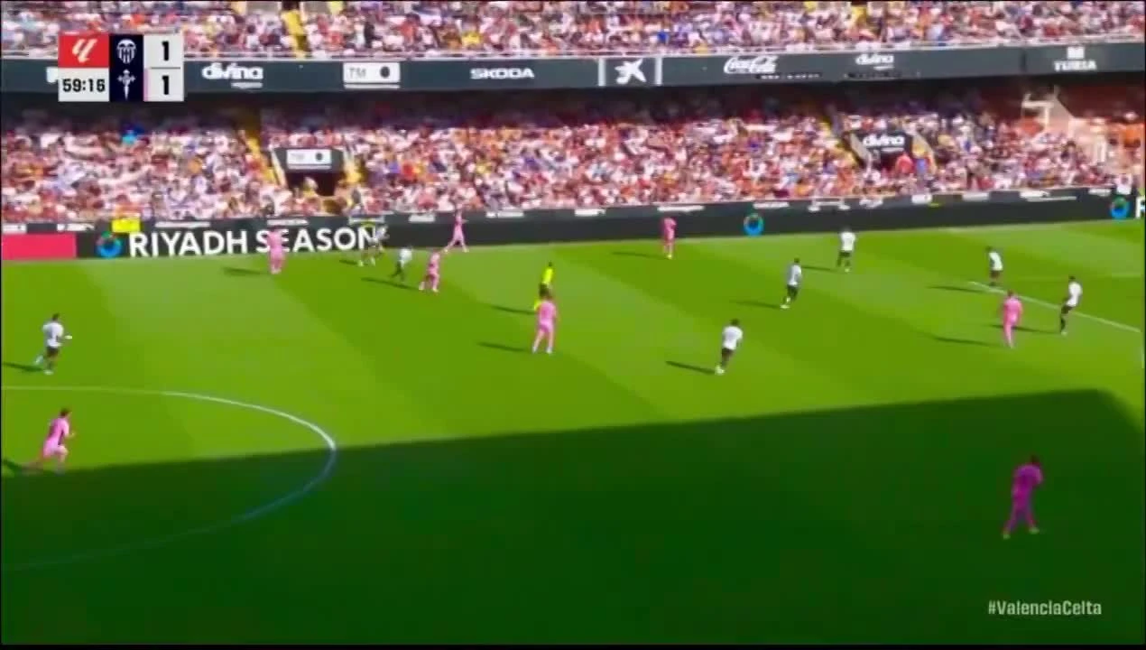 zaslepka skrotu video