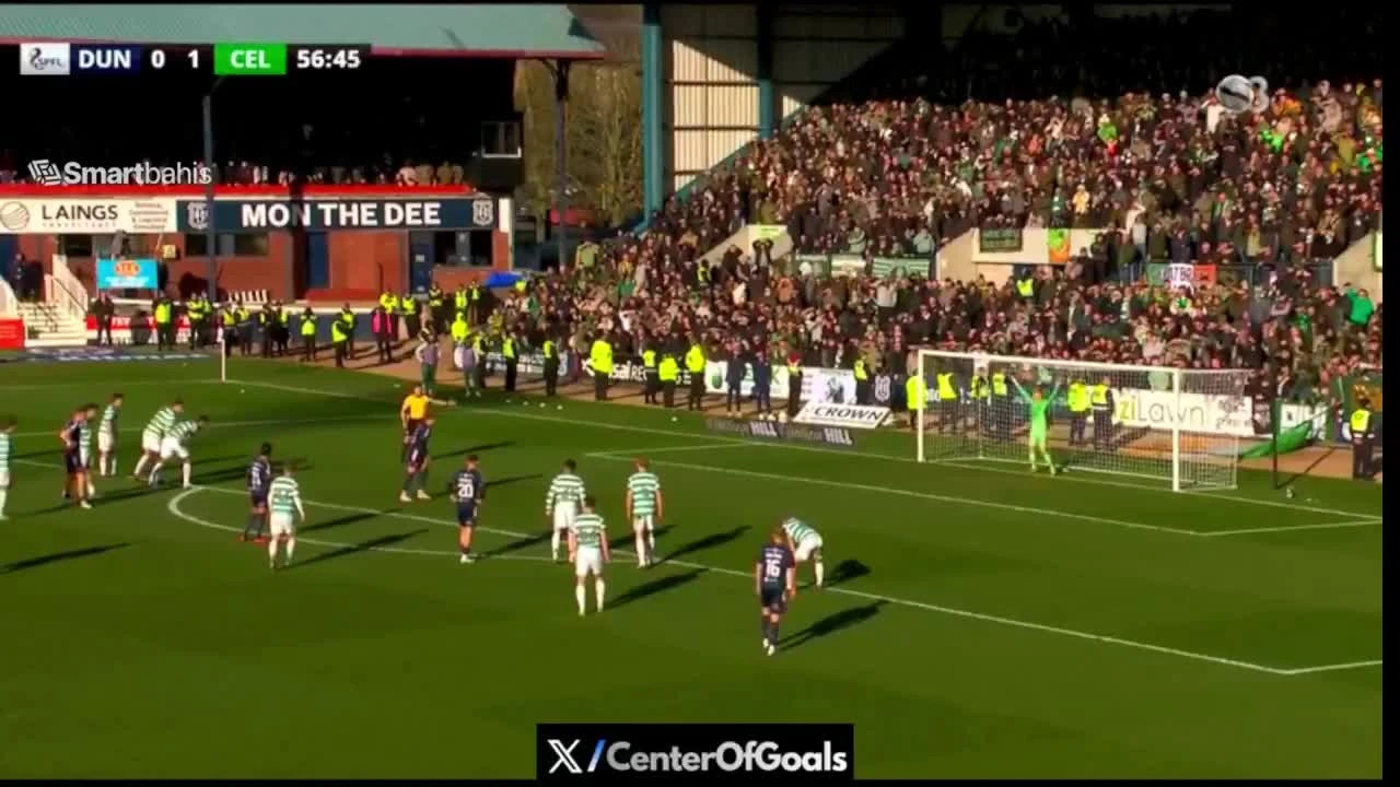 zaslepka skrotu video