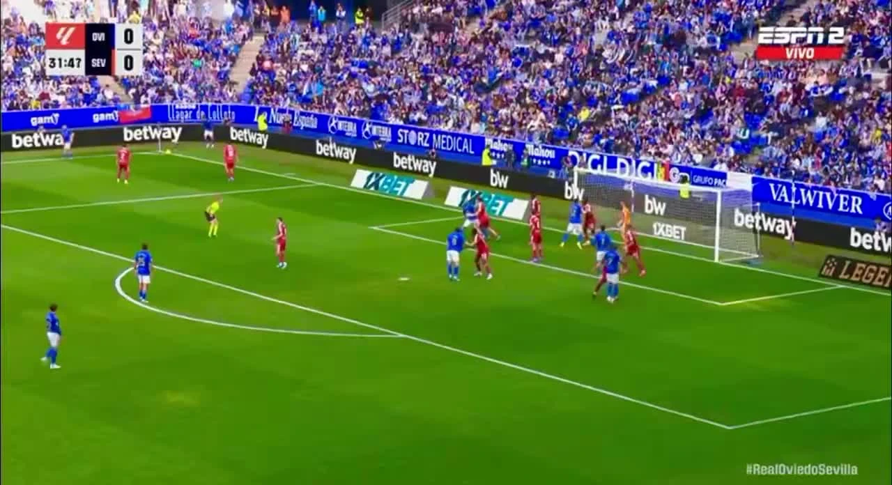 zaslepka skrotu video