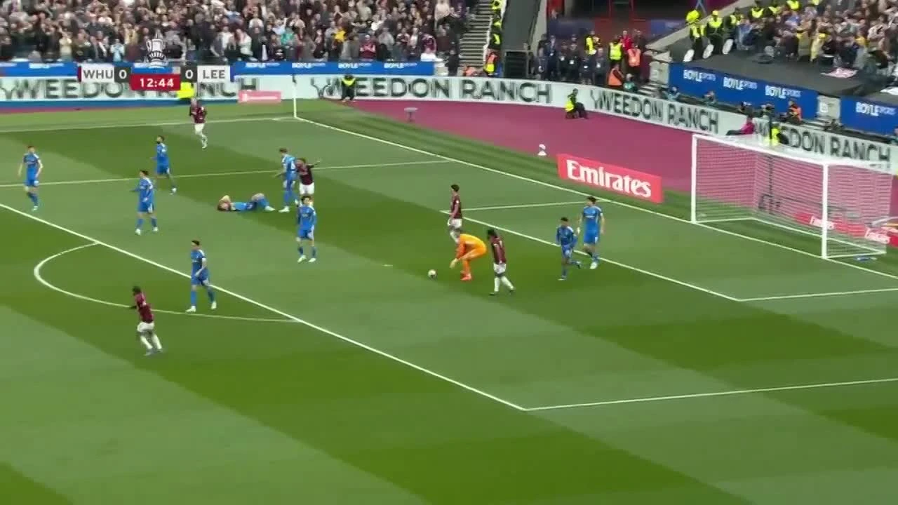 zaslepka skrotu video