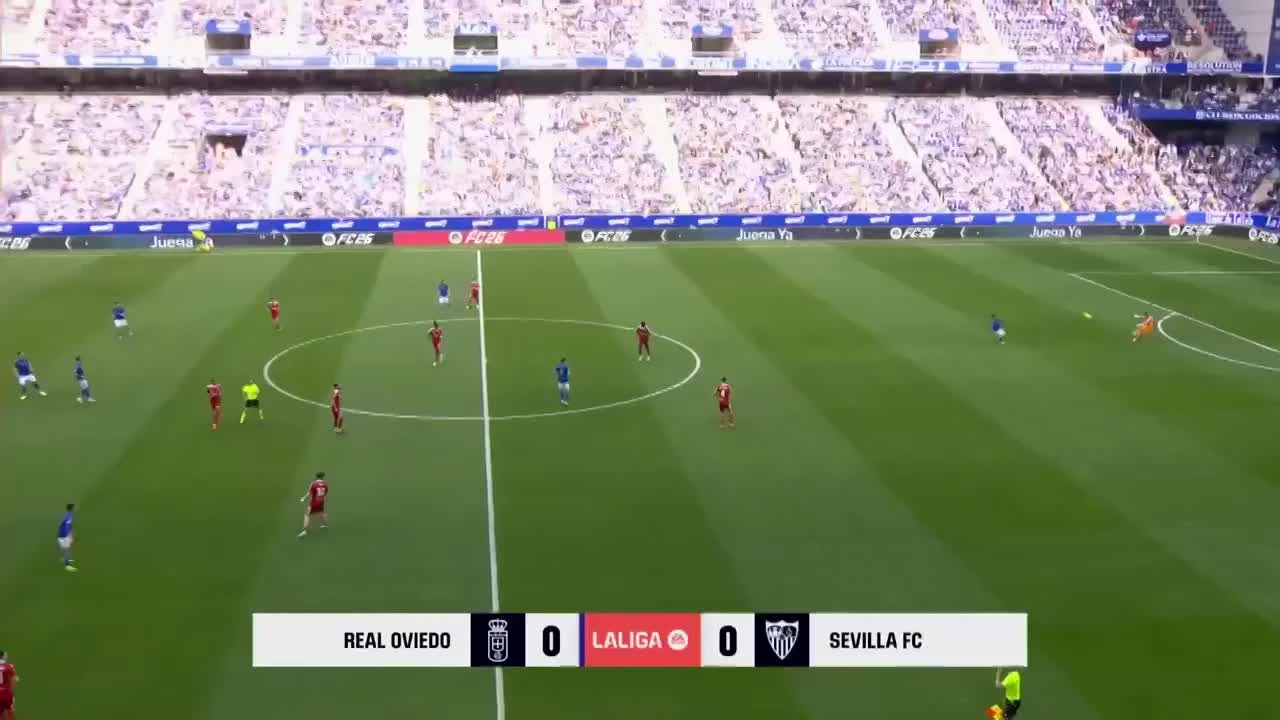 zaslepka skrotu video