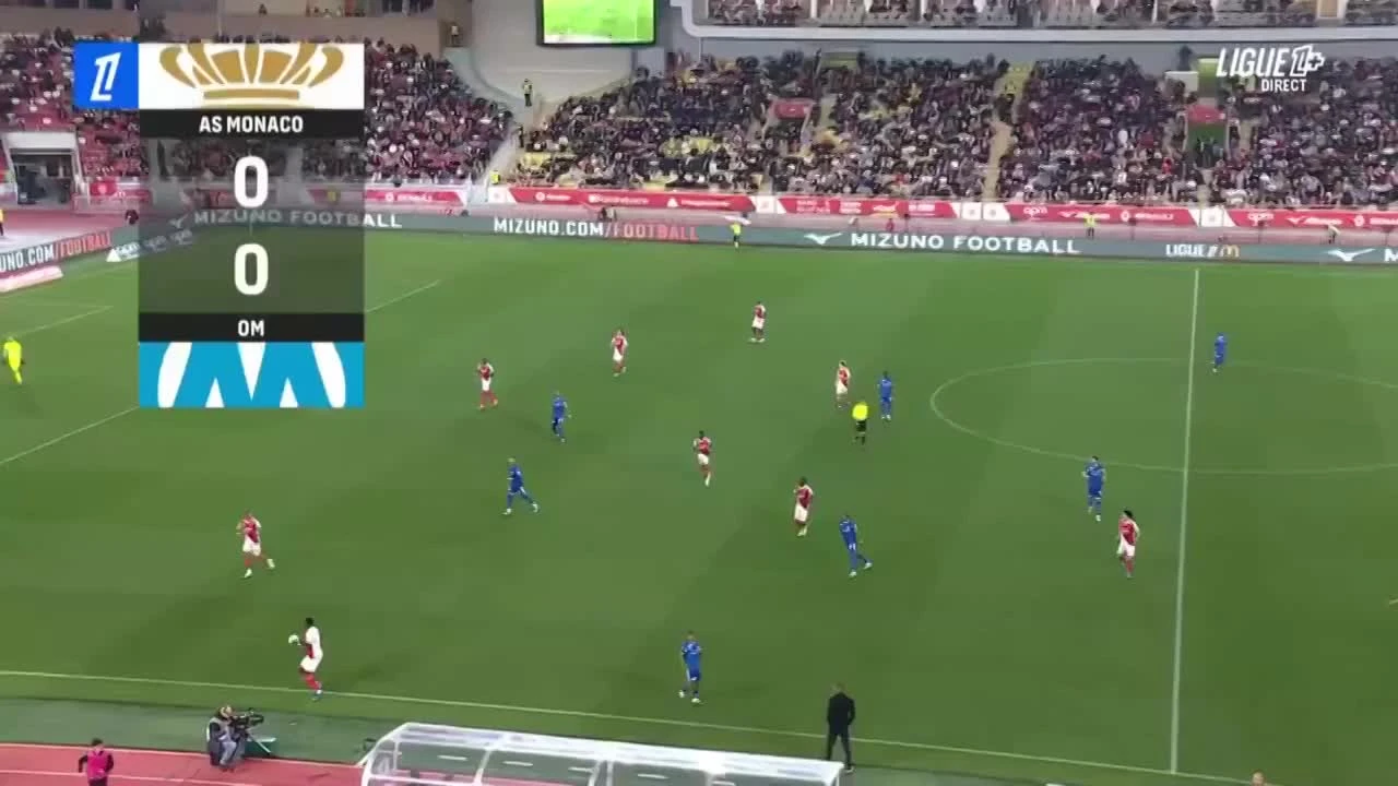 zaslepka skrotu video